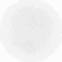 Plenoxels: Radiance Fields Without Neural Networks