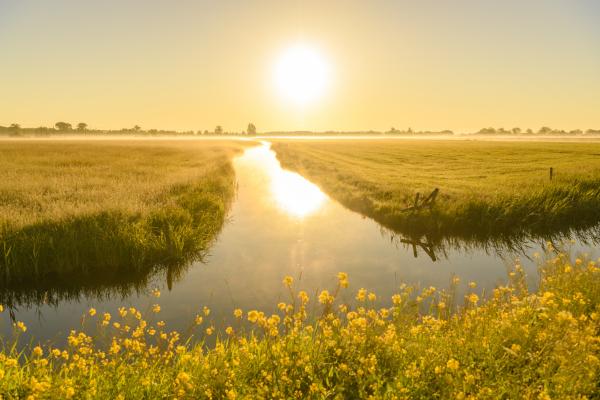 Early morning sunrise during a beautiful springtime day over the Zwartendijk, the old Zuiderzee levee in the IJsseldelta near Kampen in Overijssel The Netherlands.