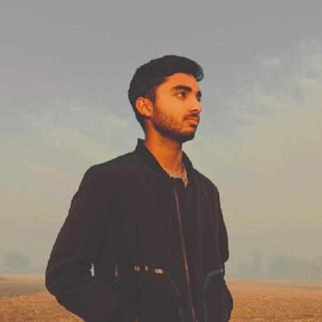 nisarhassan12's avatar