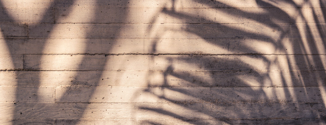 The image shows a concrete wall with a rough surface and visible horizontal lines and joints. Shadows fall on it, forming patterns, presumably from plants or leaves. The shadows create an interesting interplay of light and dark, giving the image a calm, natural atmosphere.